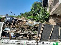 Best Attic Cleanout  in Whiteville, TN