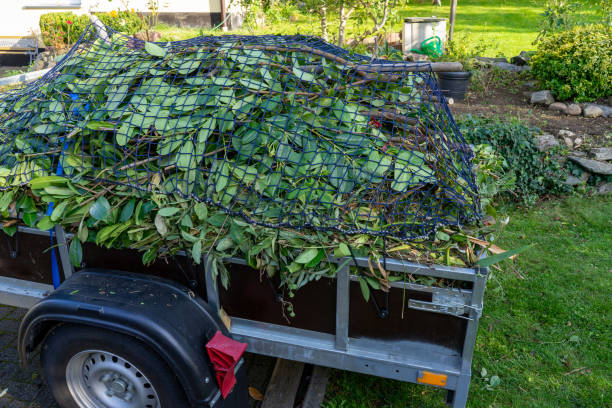 Best Hoarding Cleanup  in Whiteville, TN